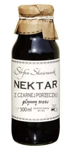 16. Nektar z czarnej porzeczki.webp